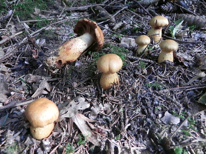 DSCN1244c.JPG