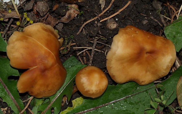 PC058802.JPG