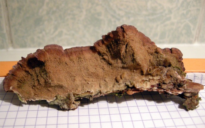 20120679.jpg