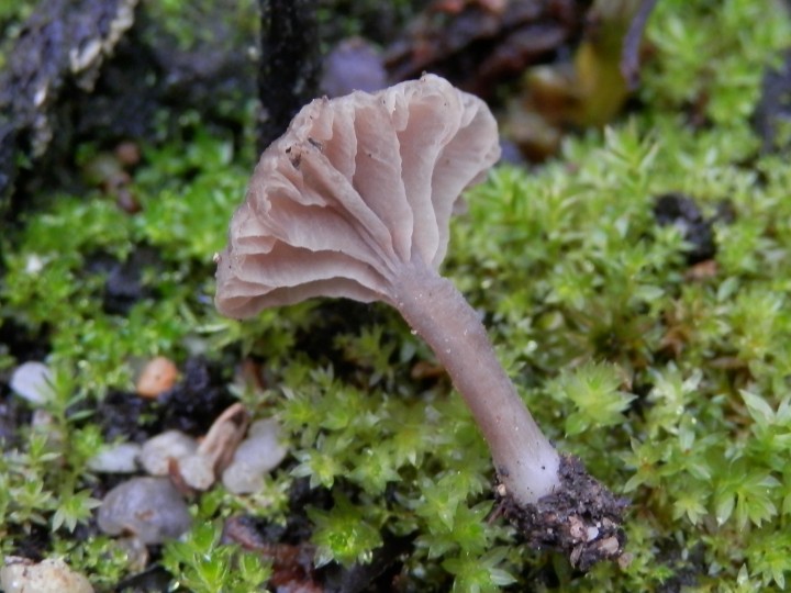 PC082750.JPG