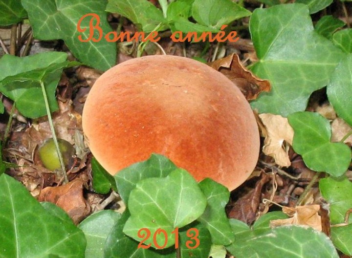 2013.JPG