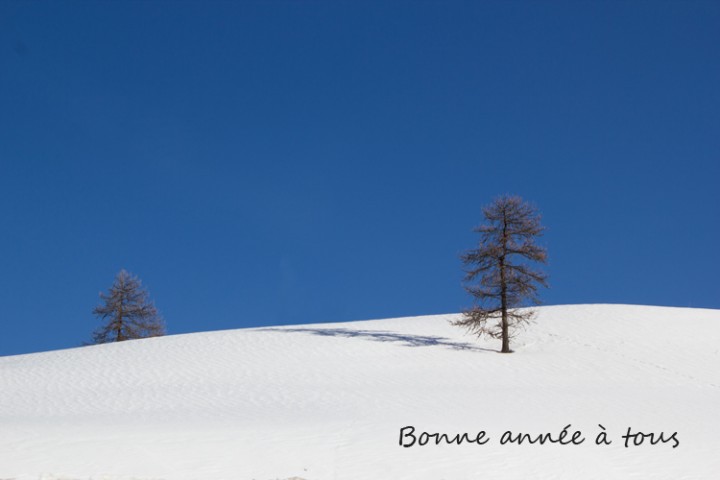 bonne année.jpg