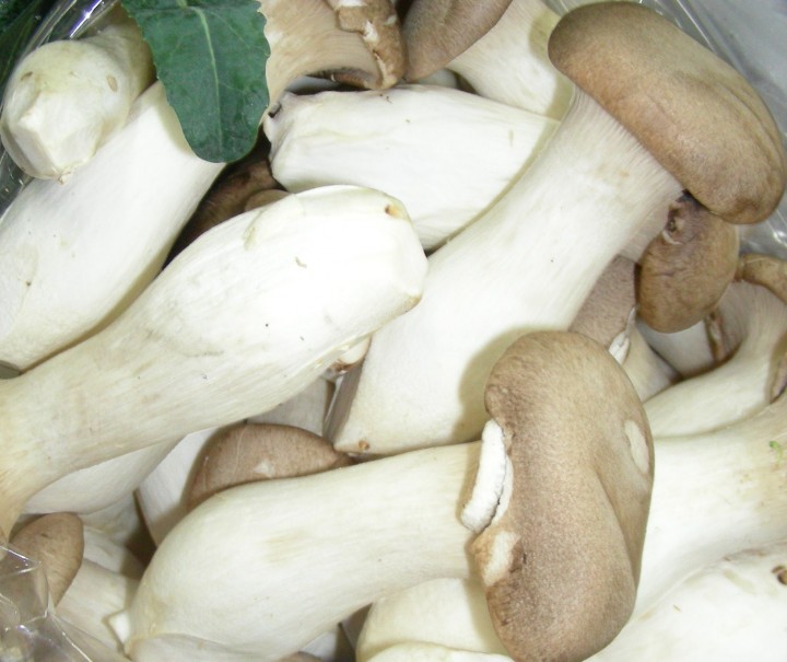 DSCN2350.JPG