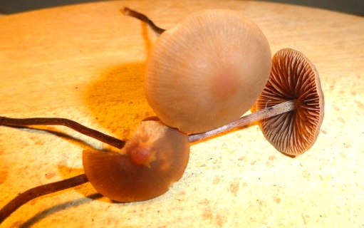 photo du 21 Novembre 2012