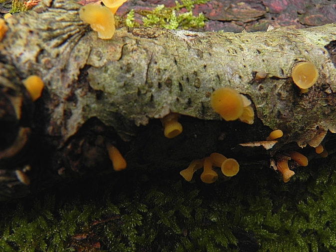 DSCN8106b.JPG