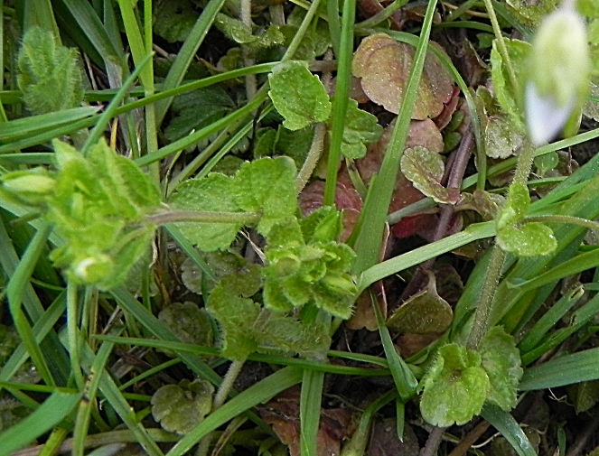 DSCN8635b.JPG