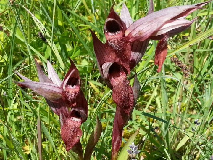 20130526_141133.jpg
