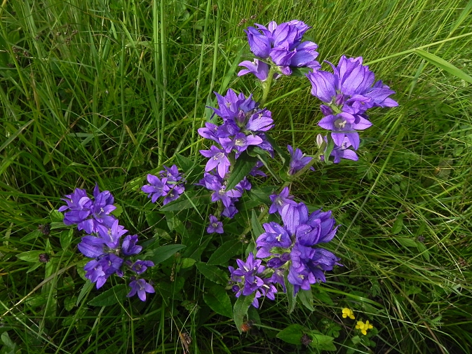 DSCN9412b.JPG
