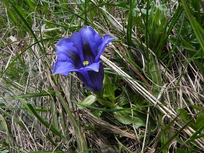 DSCN9542b.JPG