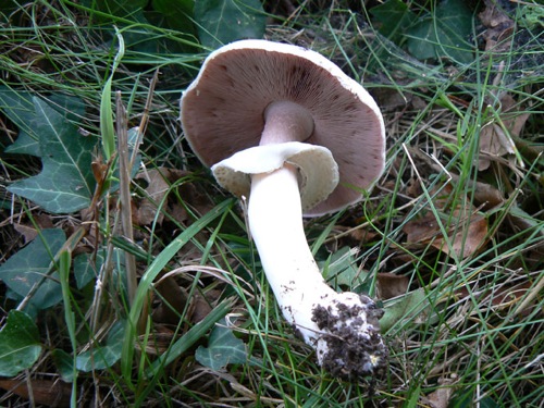 P1000221.JPG