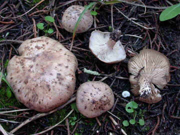 Photo : Pascal Ribollet (AMO Nantes)