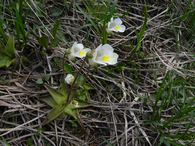 DSCN9802b.JPG