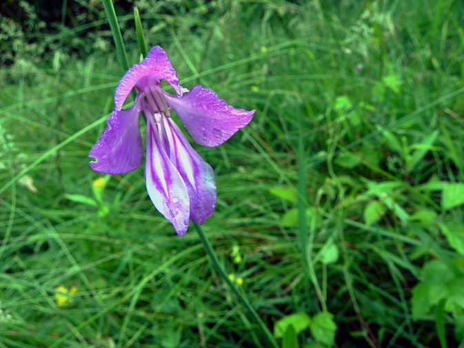 DSCN9844b.JPG