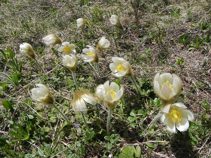 DSCN9779b.JPG
