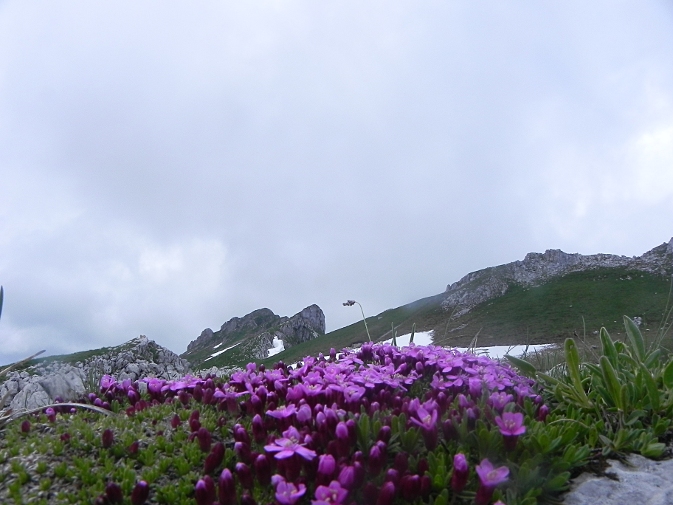 DSCN9962b.JPG