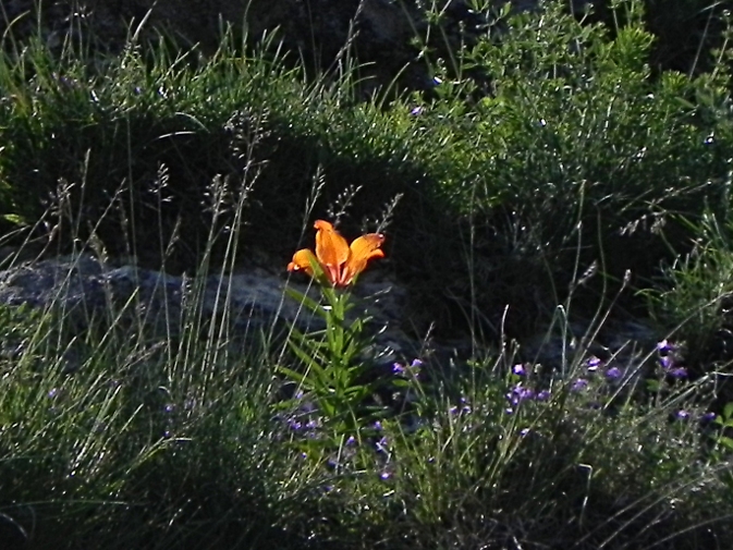 DSCN0521b.JPG