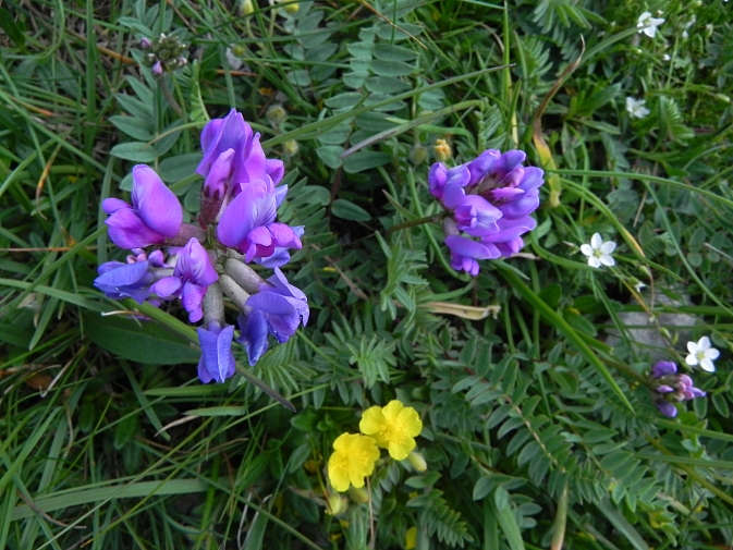 DSCN0611b.JPG
