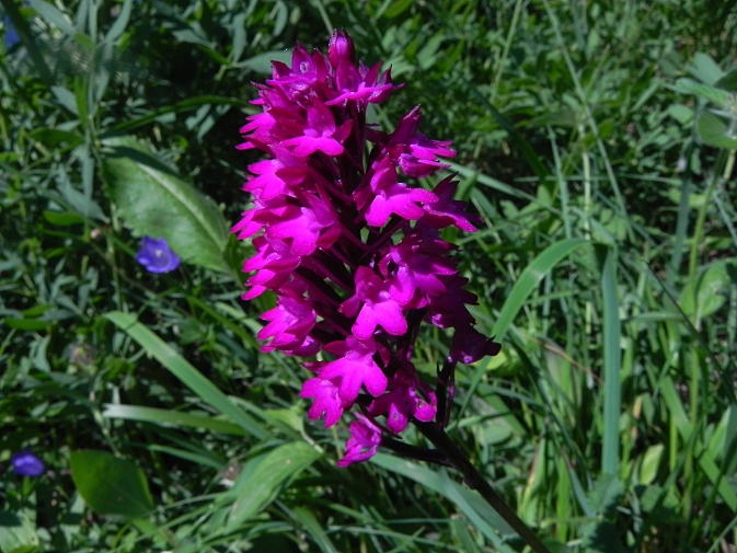 DSCN0887b.JPG