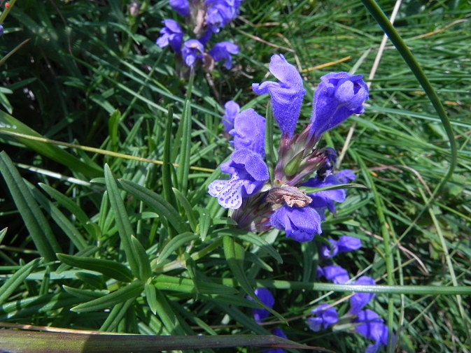 DSCN1308b.JPG