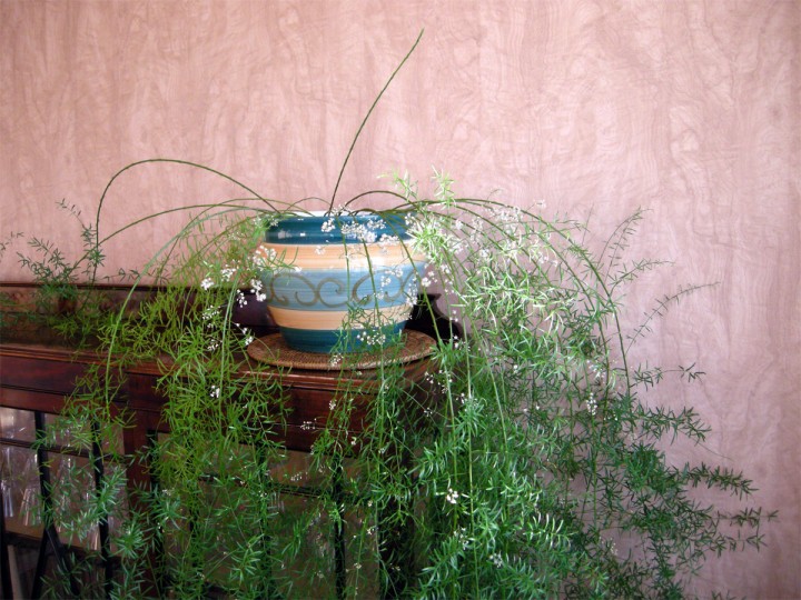 Cliquer sur l'image pour agrandir