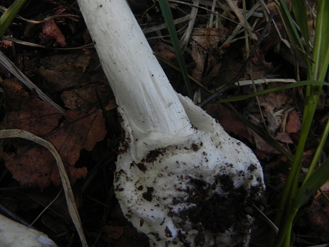DSCN1931b.JPG