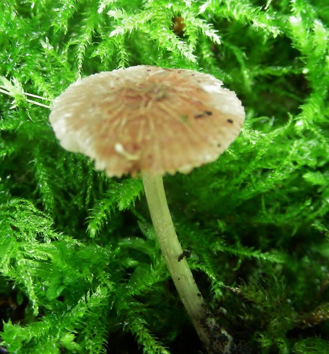 DSCN2558.JPG