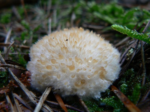 P1000231.JPG