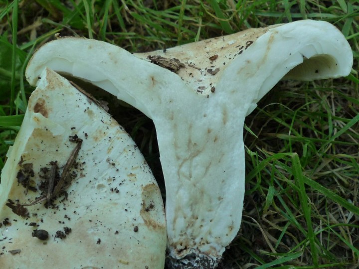 copie de L1070155.JPG