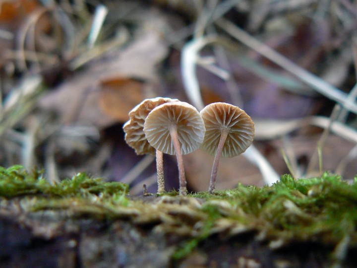 P1140035.jpg