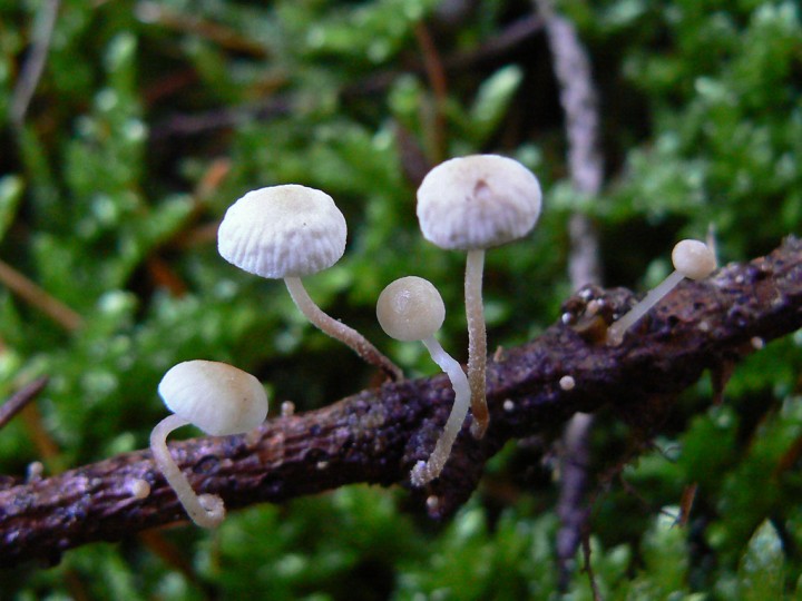 P1230076.jpg