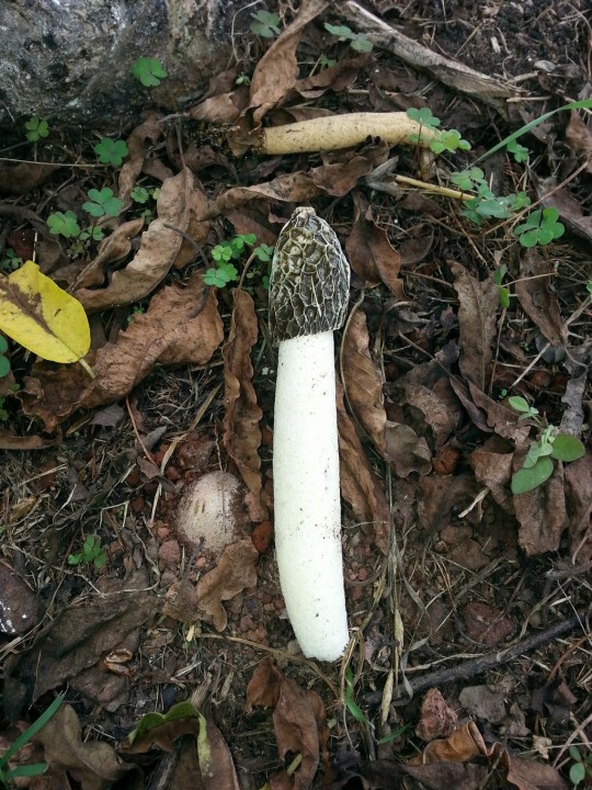 20130902_113548.jpg