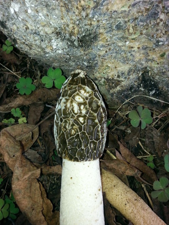20130902_113634.jpg