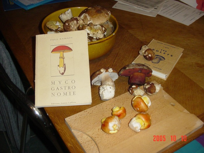 oronges.jpg