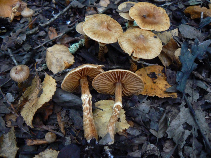 P1250574.jpg