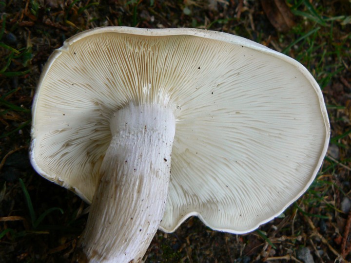P1250660.jpg