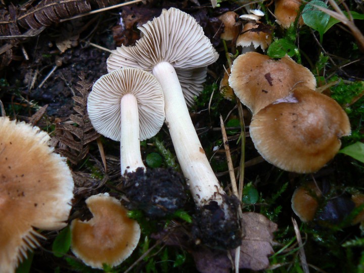 P1250729.jpg
