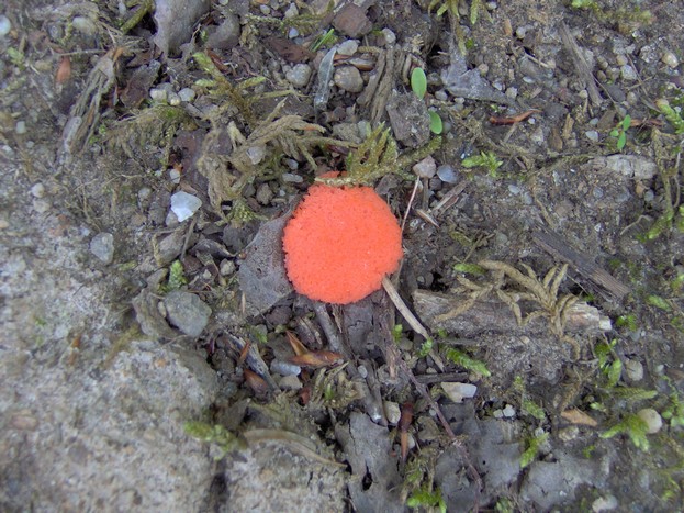 Photo 863.jpg