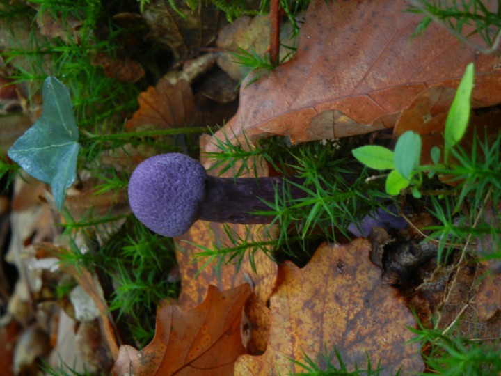 DSCN5982.JPG