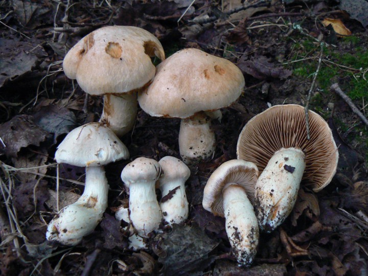 P1250616.jpg