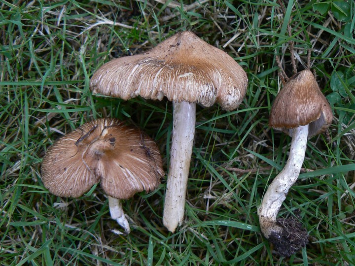 P1250815.jpg