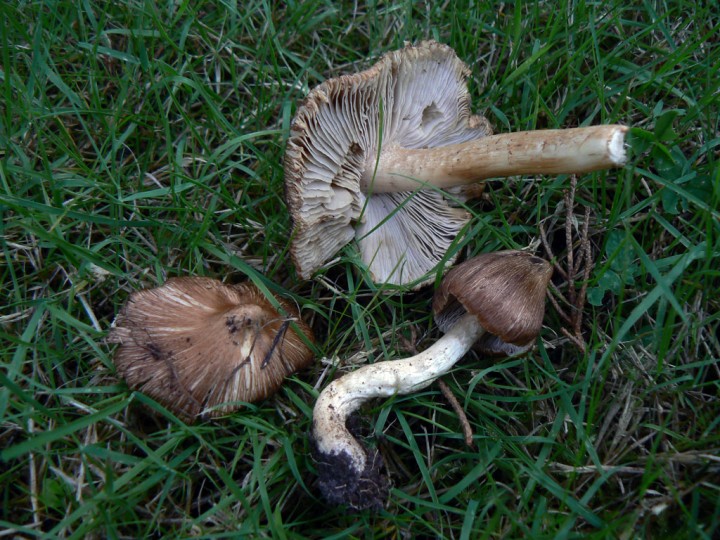 P1250819.jpg