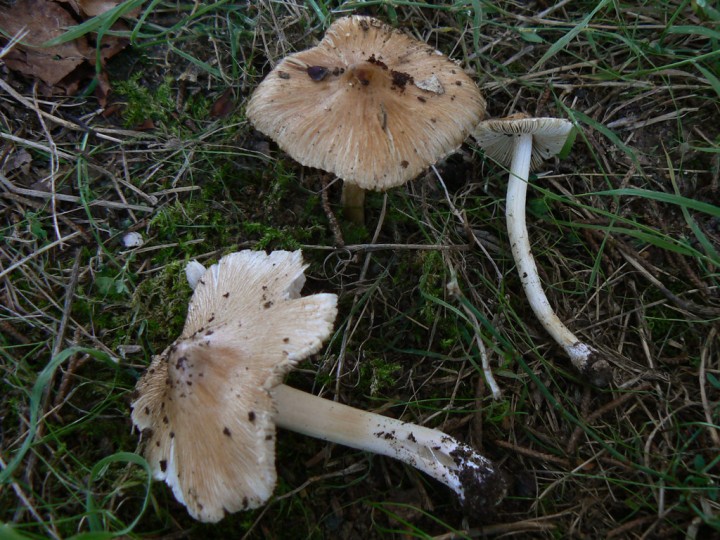 P1250803.jpg