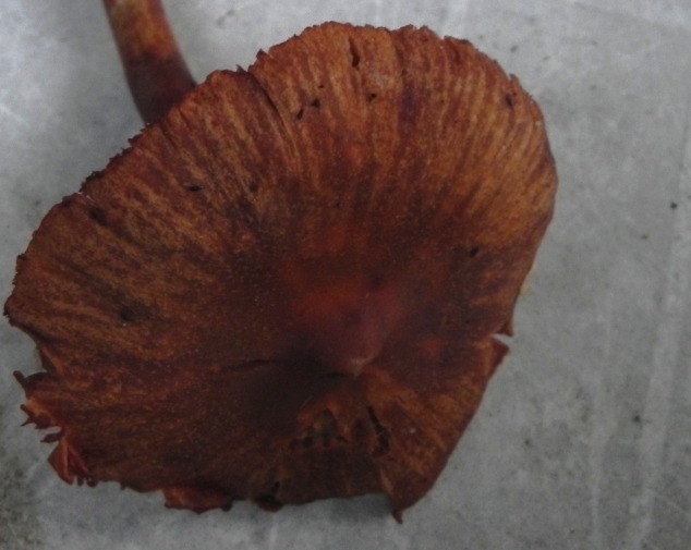 DSCN9053b.JPG