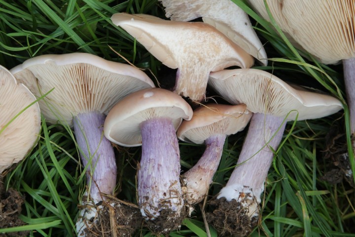 435713J26.jpg