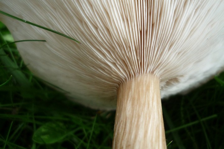 copie de L1090521.JPG
