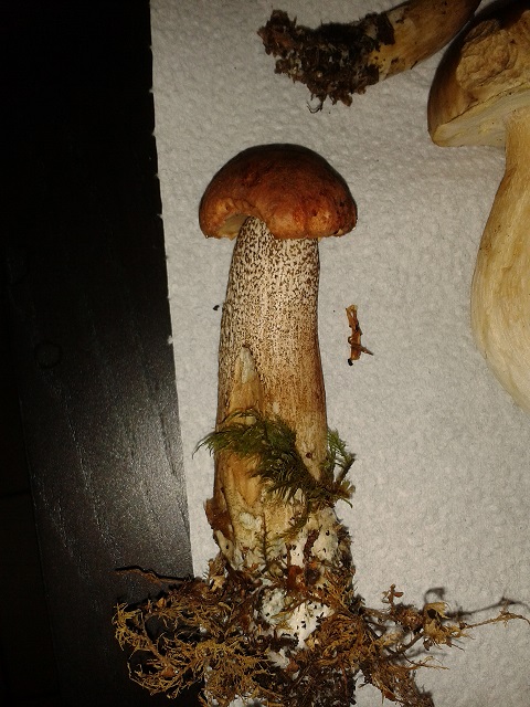 20131030_192059.jpg