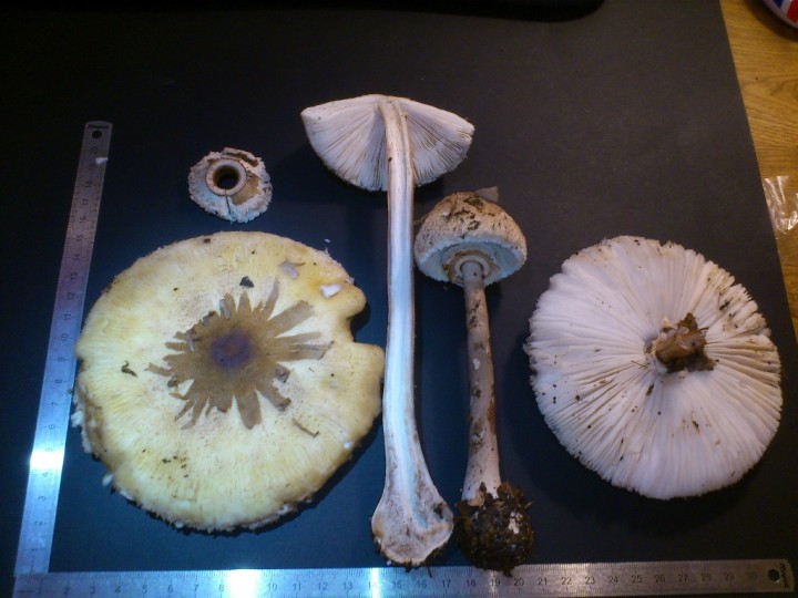 nov 2013 088.jpg