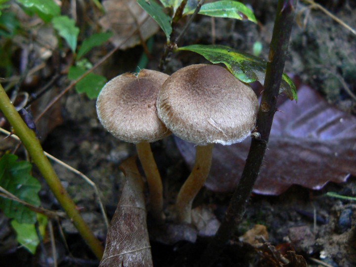 P1250897.jpg