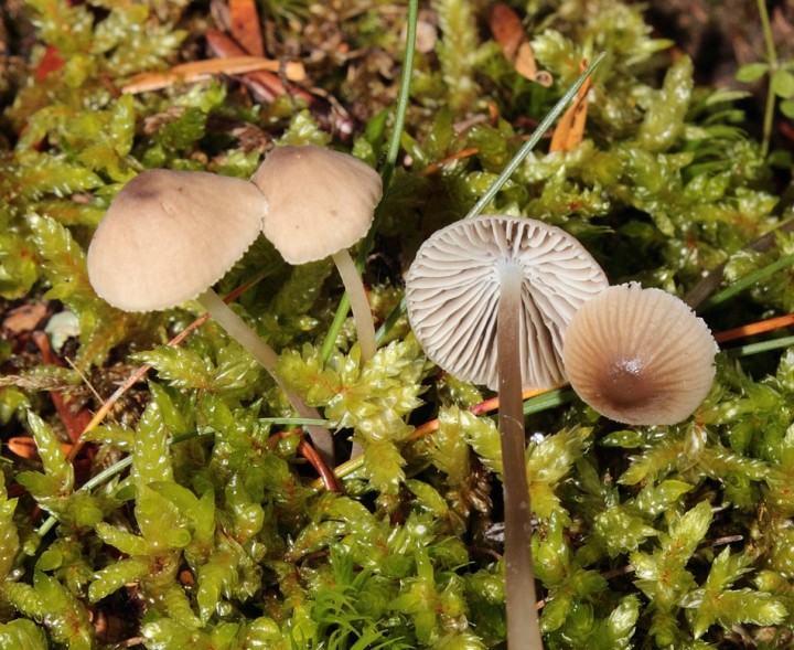 DPP_0068.JPG