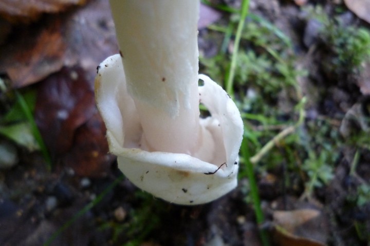 copie de L1090360.JPG